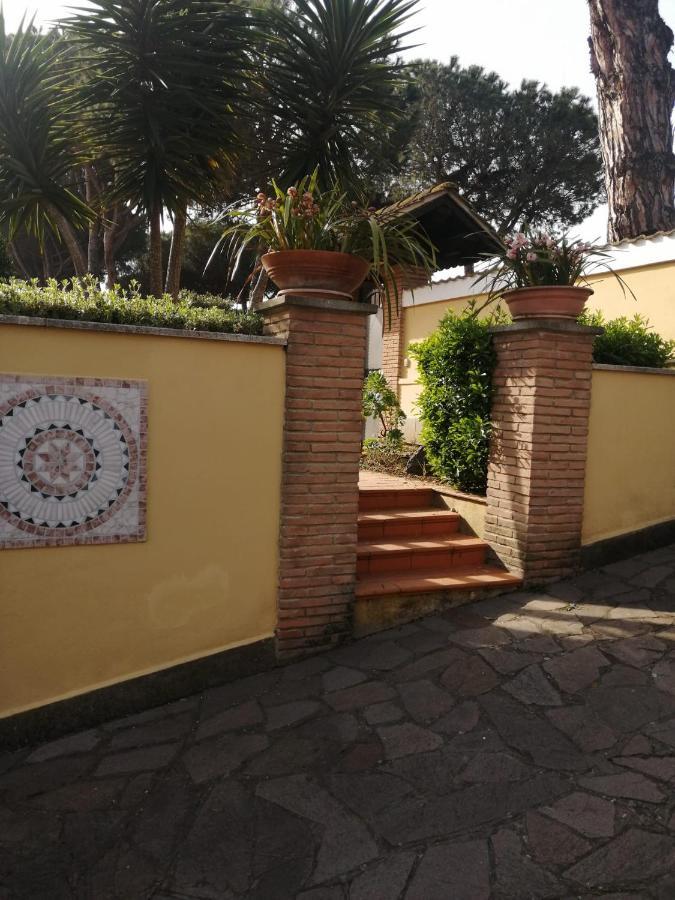 Indipendente In Grande Apartment